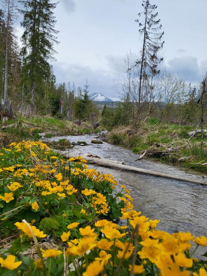 Apartment In Tatranska Strba/Near Strbske Pleso With Free Parking Exteriör bild